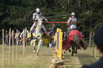 JOUSTING, PHOTOS BY BEN, 7514 48