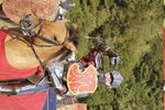 JOUSTING, PHOTOS BY BEN, 7525 50