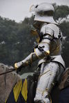 JOUSTING, PHOTOS BY PHIL, 0392 52
