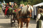 PARADE, PHOTOS BY ANNEKE, 9886 183