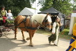 PARADE, PHOTOS BY ANNEKE, 9895 186