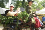 PARADE, PHOTOS BY ANNEKE, 9897 187