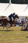 SKILL AT ARMS, PHOTOS BY ANNEKE, 0110 310