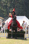 SKILL AT ARMS, PHOTOS BY ANNEKE, 0153 317