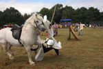 SKILL AT ARMS, PHOTOS BY RUI, 0432 226