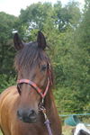 DAY 1, REBECCA, DSC03428 454