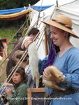 FERRETS, ANNEKE, DSCN1373
5904 571
