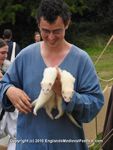 FERRETS, ANNEKE, DSCN1375
5904 572