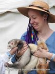 FERRETS, ANNEKE, DSCN1379
5904 573