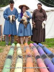 FERRETS, ANNEKE, DSCN1384
5904 575