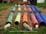 FERRETS, ANNEKE, DSCN1390
5904 576