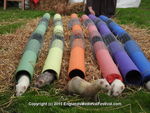 FERRETS, ANNEKE, DSCN1391
5904 577