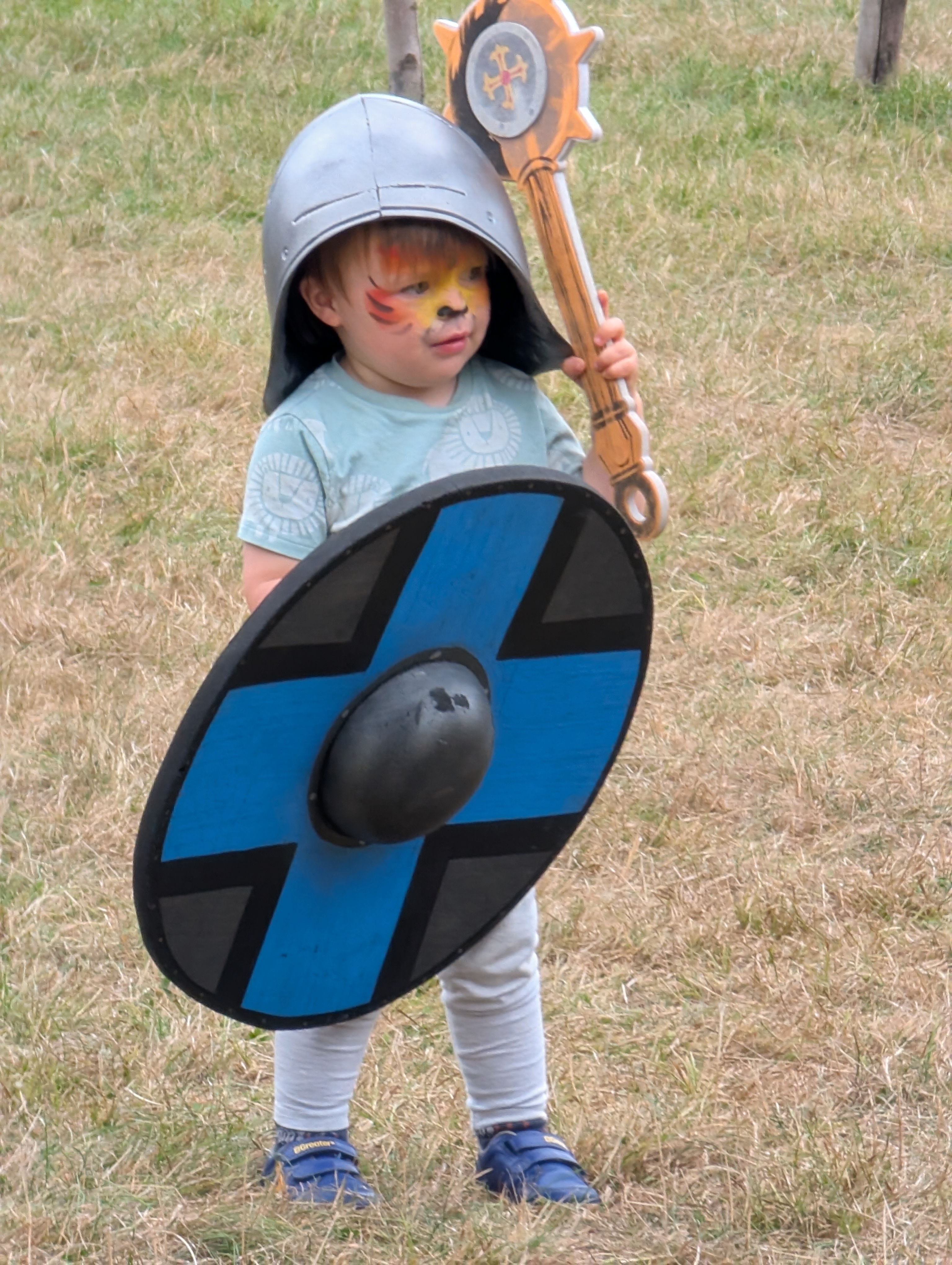 Jousting and arena photo
