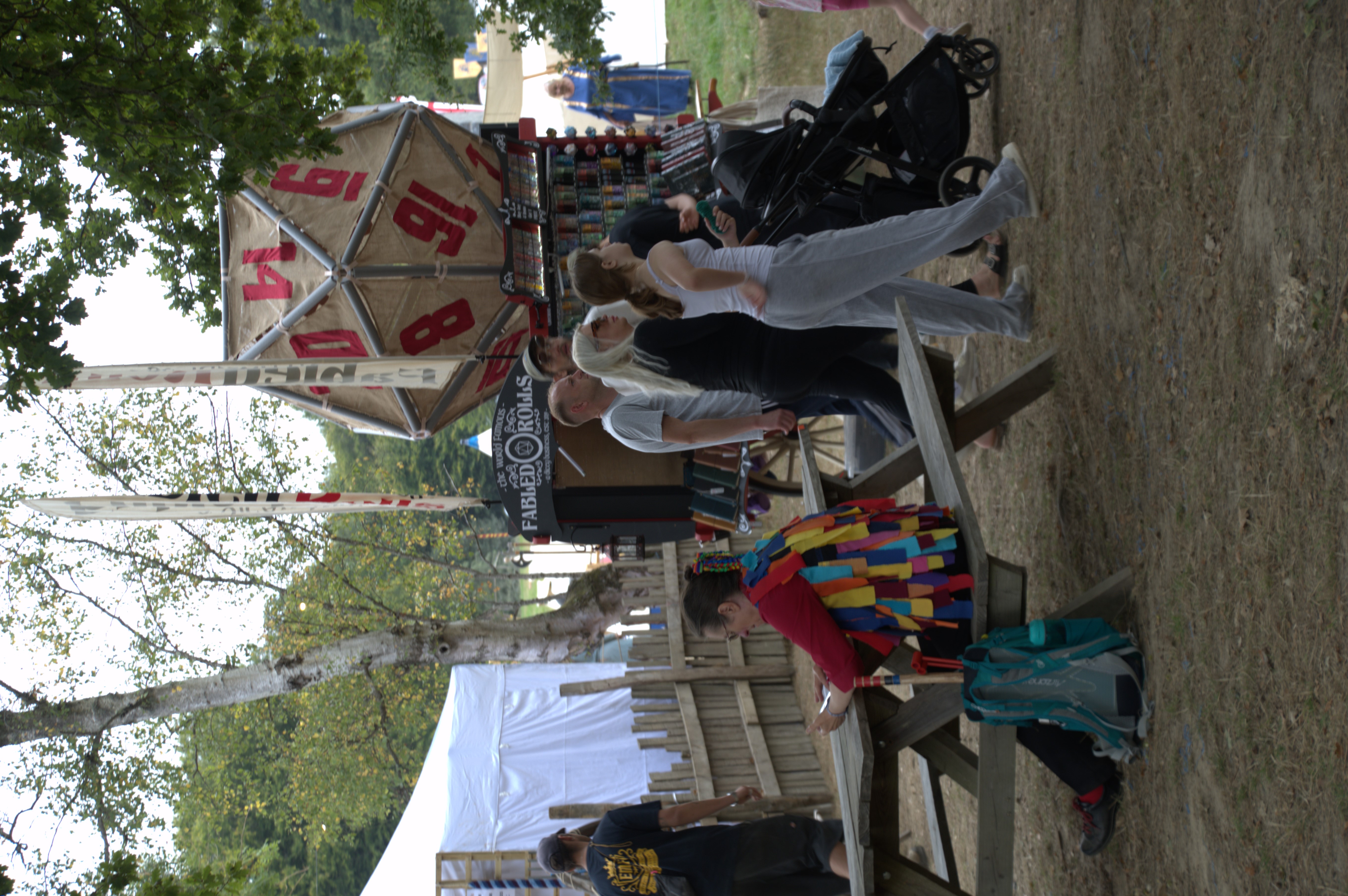 EMF - King's Grove Festival photo